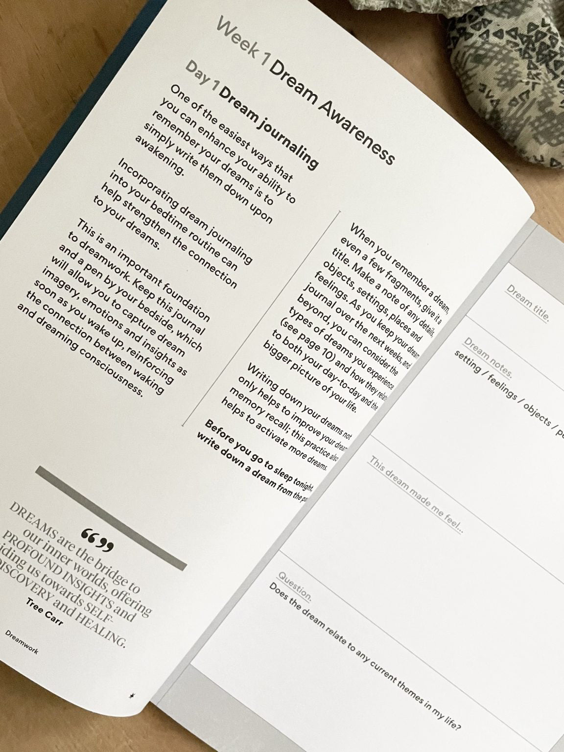 The Inner Work Project Journal - Dreamwork