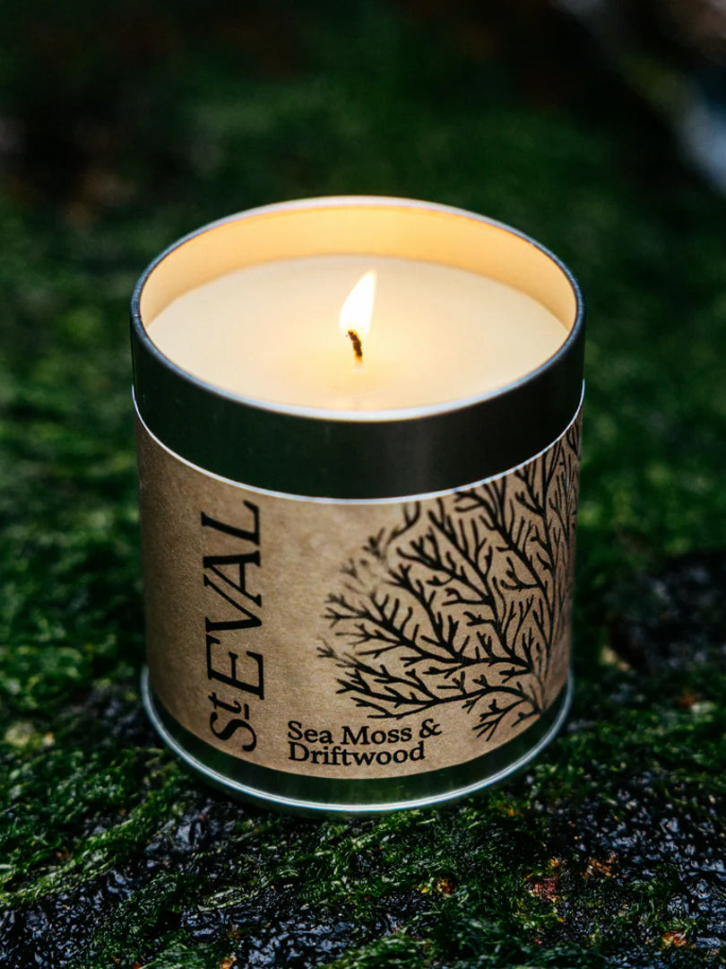St. Eval Candle Tin - Sea Moss & Driftwood