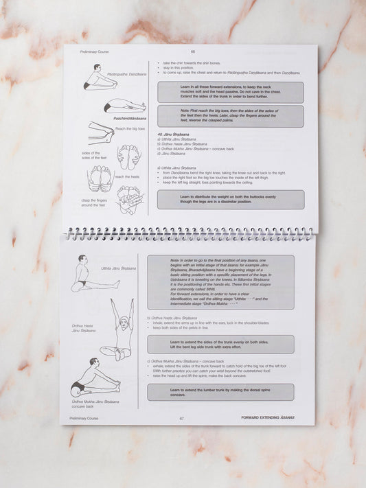 Yoga in Action: Preliminary Course