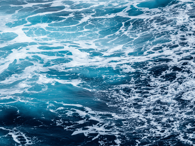 Why We Need 'Vitamin Sea'