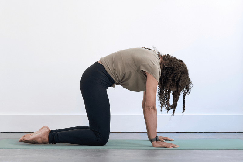Cat Pose (Marjaryasana)