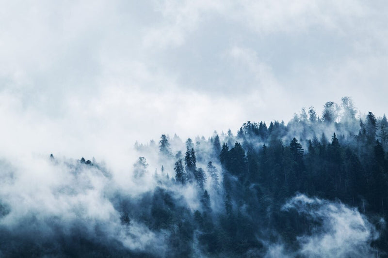 Seasonal mindfulness: Winter is the season of introspection