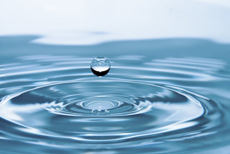 Discovering 'Yoga Like Water' with Dan Peppiatt