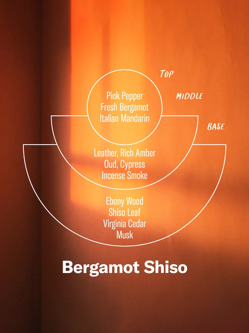 P.F. Candle Co. 7.2oz Alchemy Candle - Bergamot Shiso