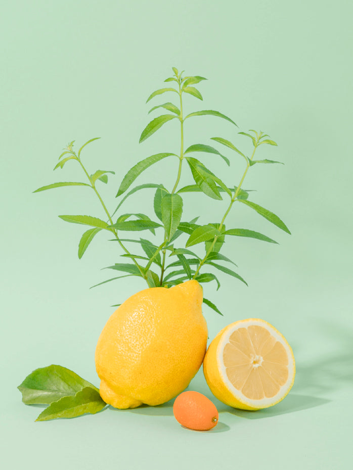 Compagnie de Provence Liquid Soap 300ml - Fresh Verbena