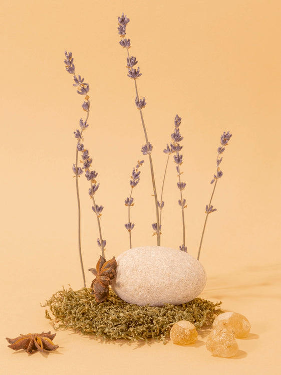 Compagnie de Provence Liquid Soap 300ml - Anise Lavender