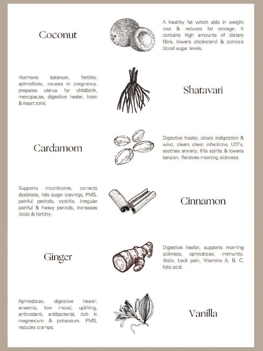 Palm of Feronia X Lady Apothecary Herbal Healing - Harmonia Masala Chai