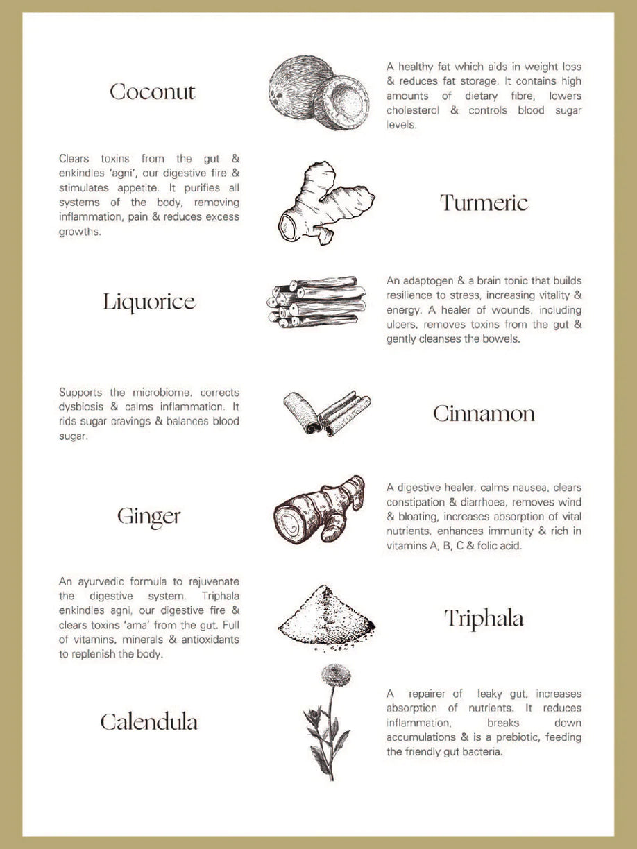 Palm of Feronia X Lady Apothecary Herbal Healing - Helios Golden Milk