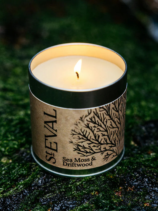 St. Eval Candle Tin - Sea Moss & Driftwood