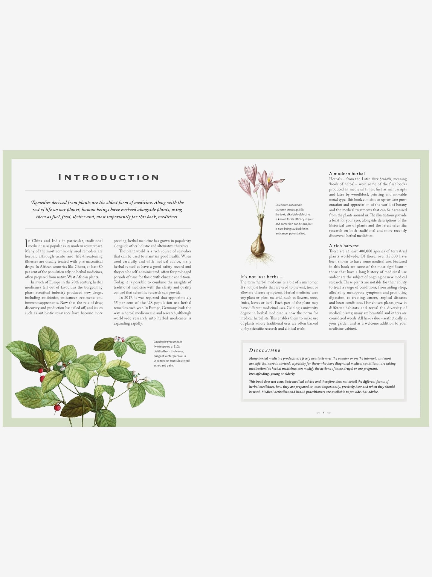 The Healing Herbal : Ancient and Modern Medicinal Plants