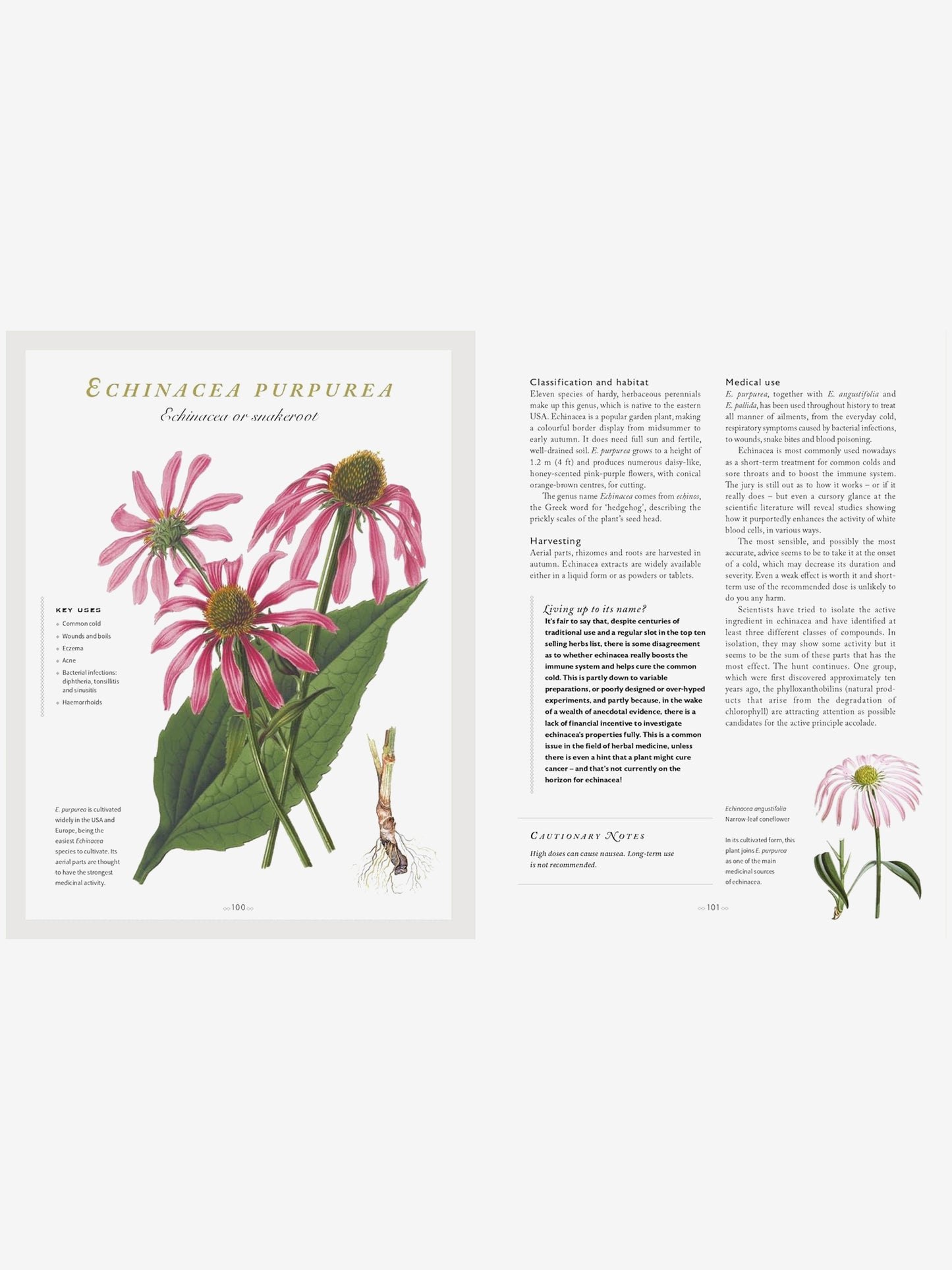 The Healing Herbal : Ancient and Modern Medicinal Plants