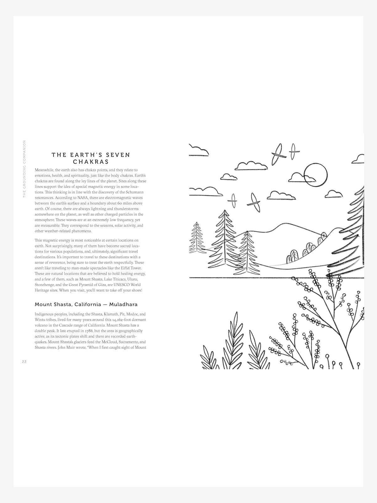 The Grounding Companion: Tap Into the Healing Power of Nature for Health, Longevity, and Vitality