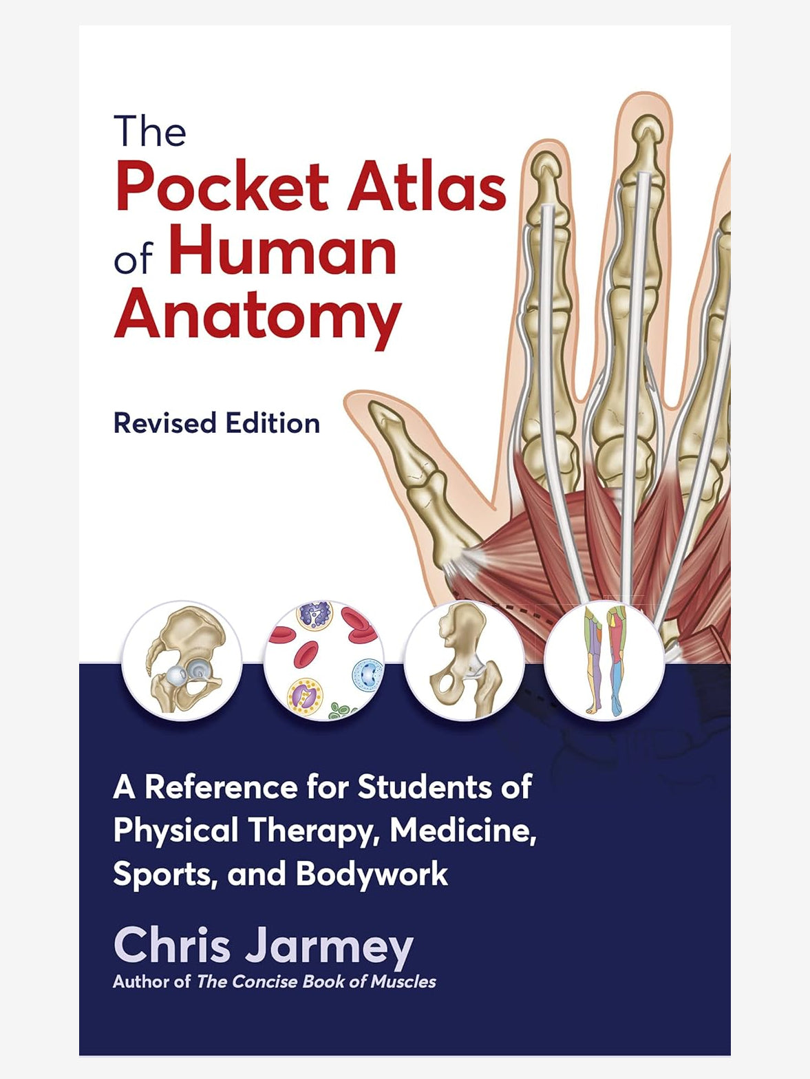 The Pocket Atlas of Human Anatomy - Revised Edition