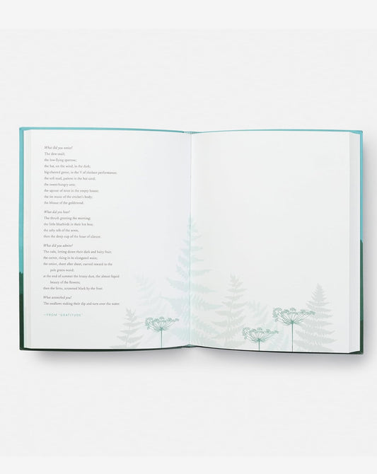 This Wild and Precious Life - A Journal