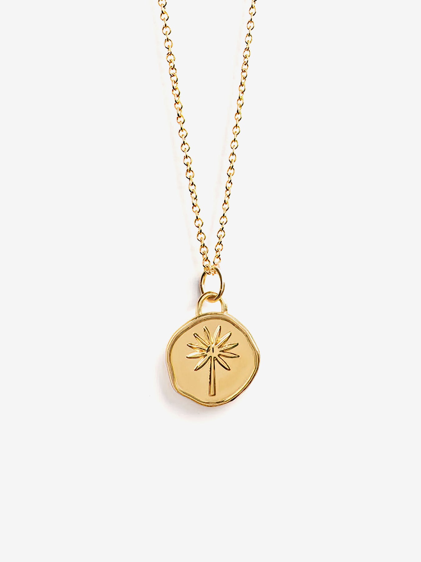 Wanderlust Life Gold Chain Pendant Necklace - Terra
