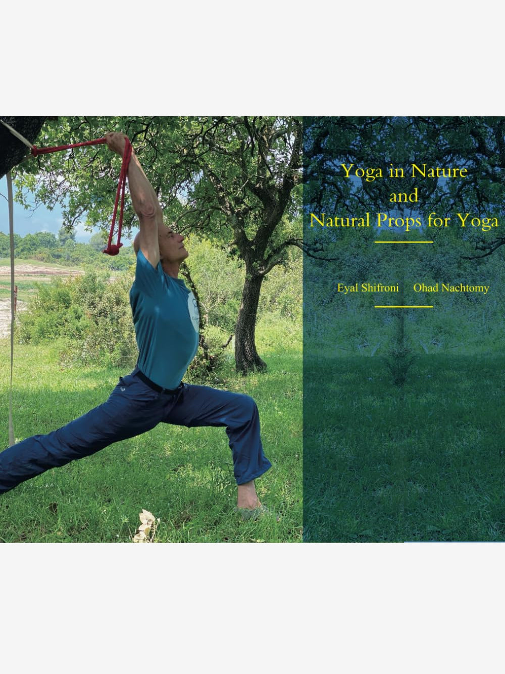 Yoga in Nature and Natural Props for Yoga