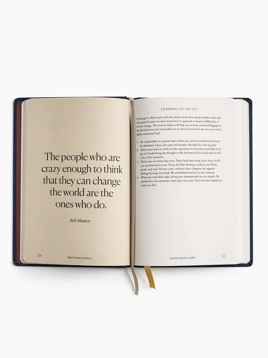 Intelligent Change The Best Year Journal - Blue