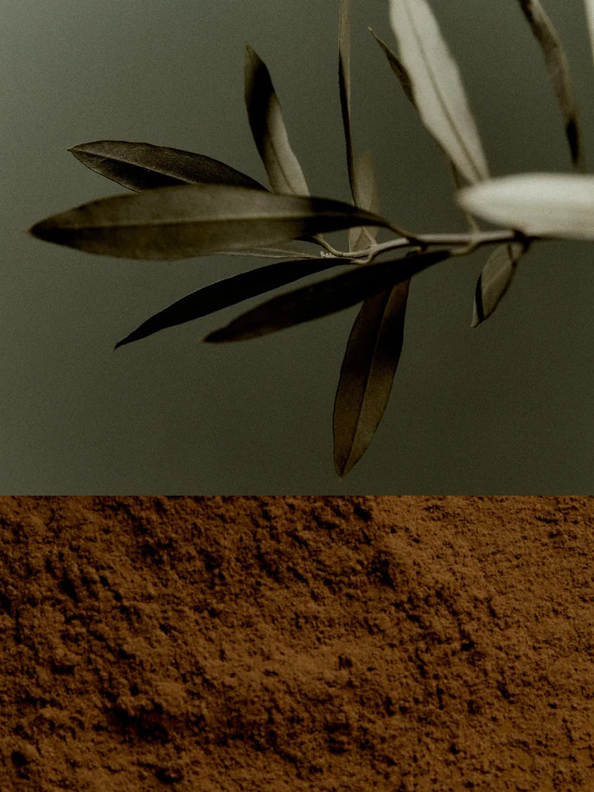 Earl of East Incense Cones - Atlas Cedar
