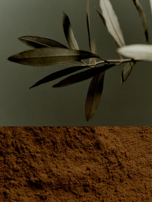 Earl of East Incense Cones - Atlas Cedar
