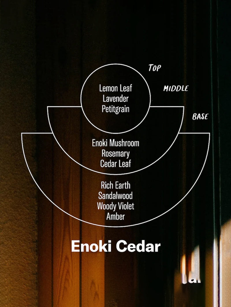 P.F. Candle Co. 7.2oz Alchemy Candle - Enoki Cedar
