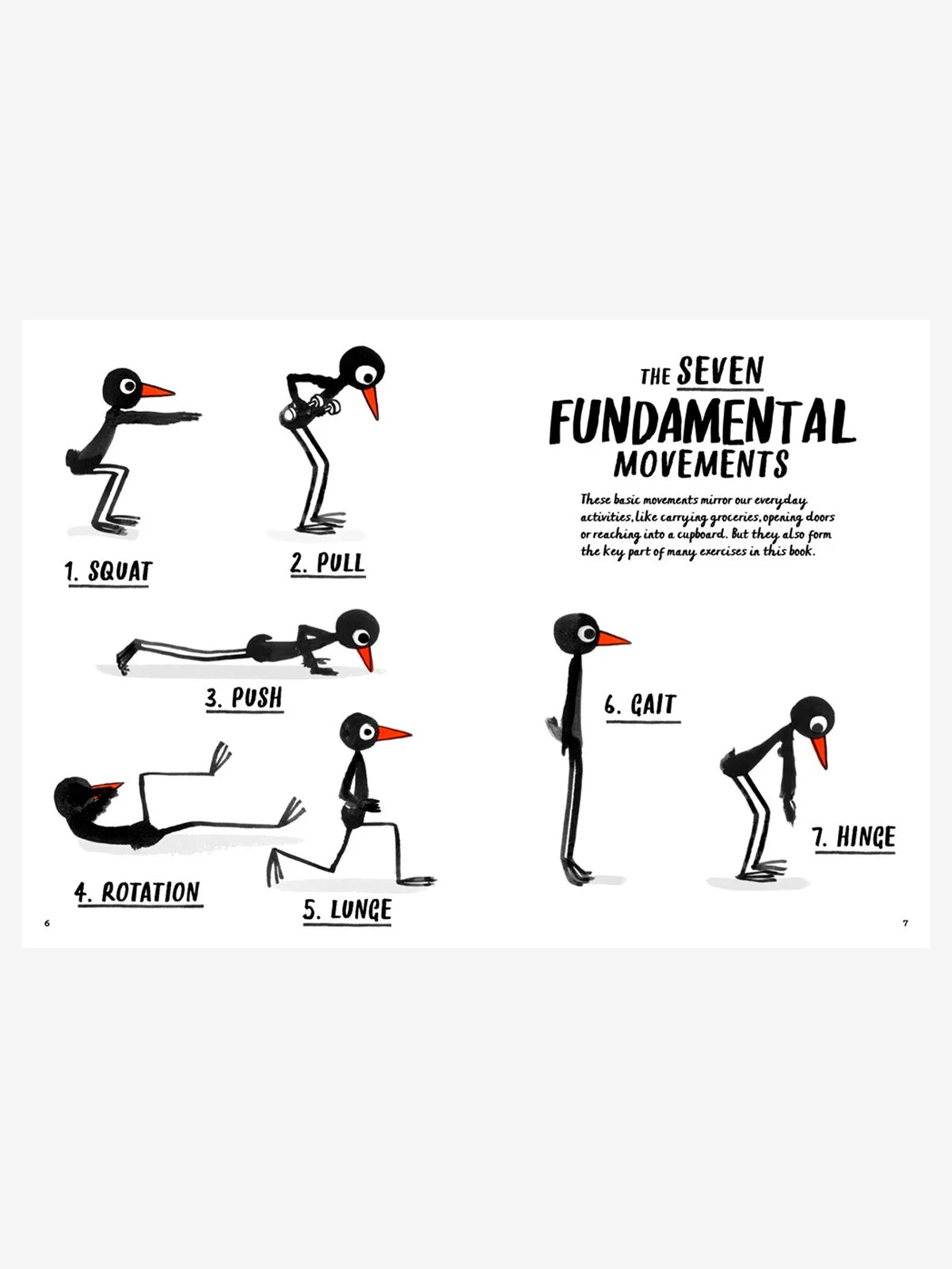 How to be a Fit Bird