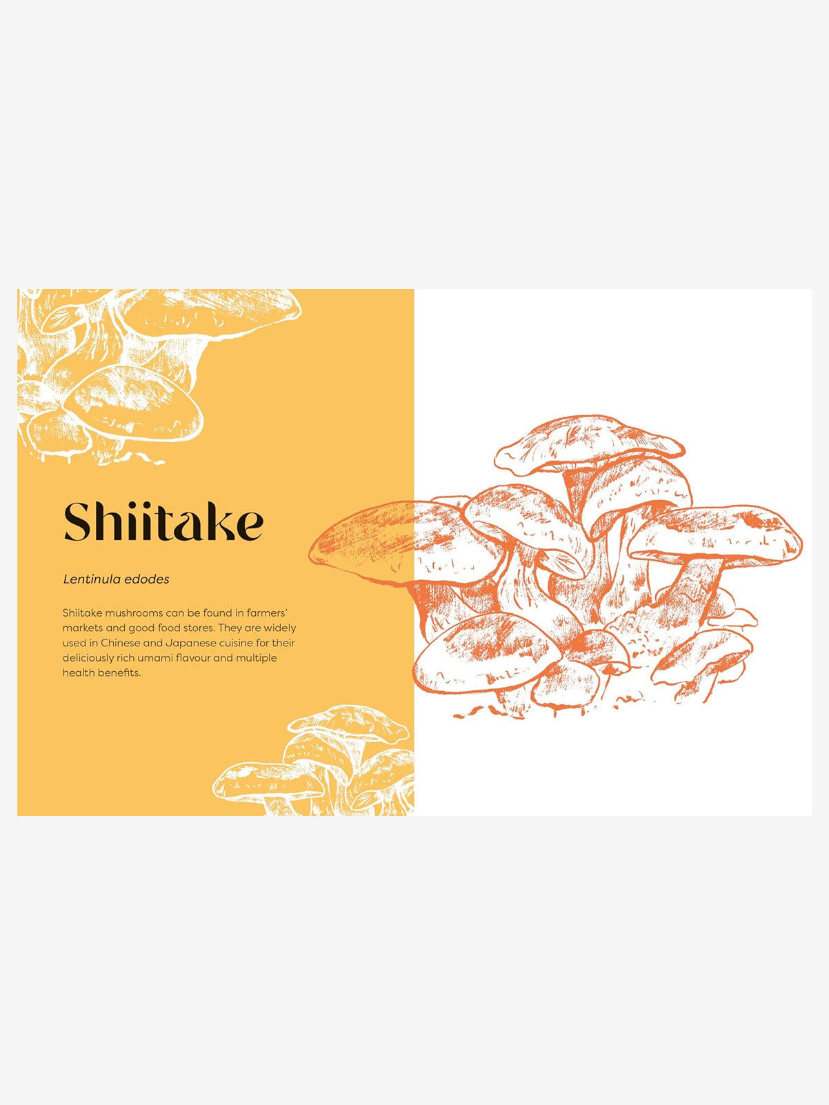 Nature's Apothecary: Harness the healing power of herbs, mushrooms and other adaptogens