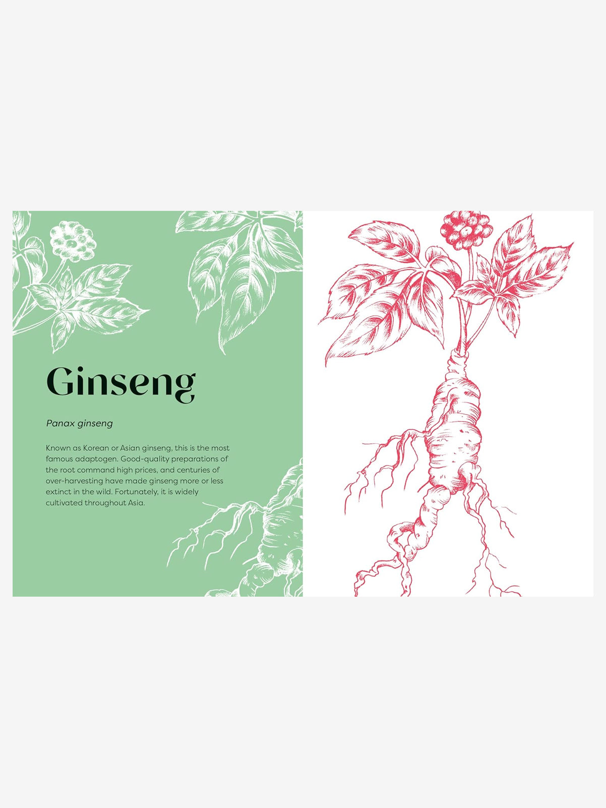 Nature's Apothecary: Harness the healing power of herbs, mushrooms and other adaptogens