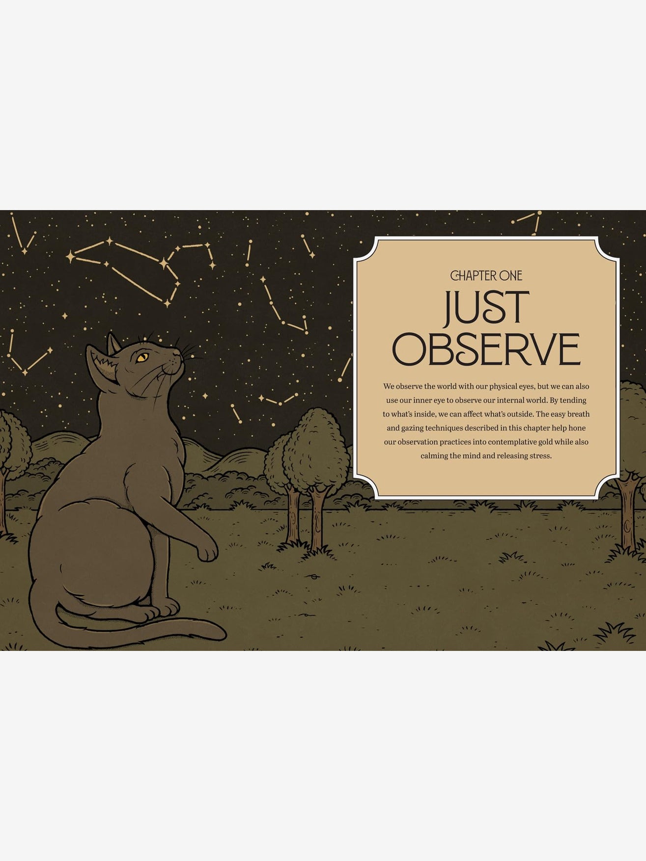 Mystic Kitty - A cat's guide to meditation