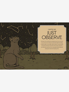 Mystic Kitty - A cat's guide to meditaion