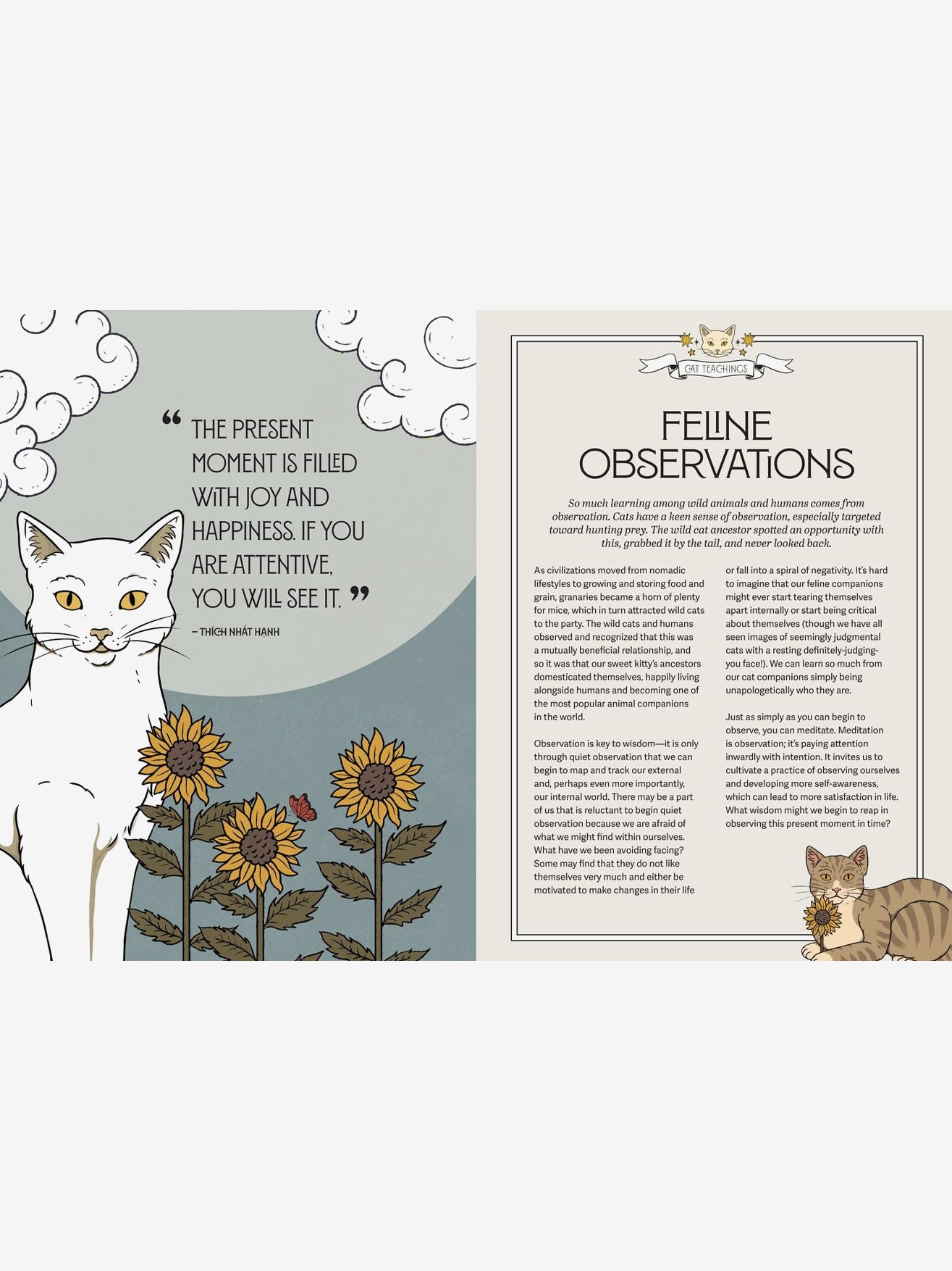 Mystic Kitty - A cat's guide to meditation