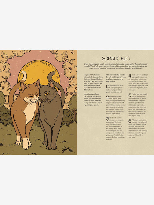 Mystic Kitty - A cat's guide to meditation