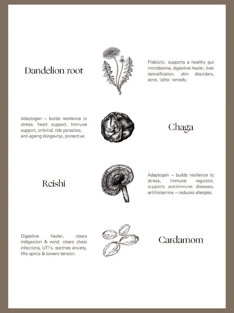 Palm of Feronia X Lady Apothcary Herbal Healing - Roots Café