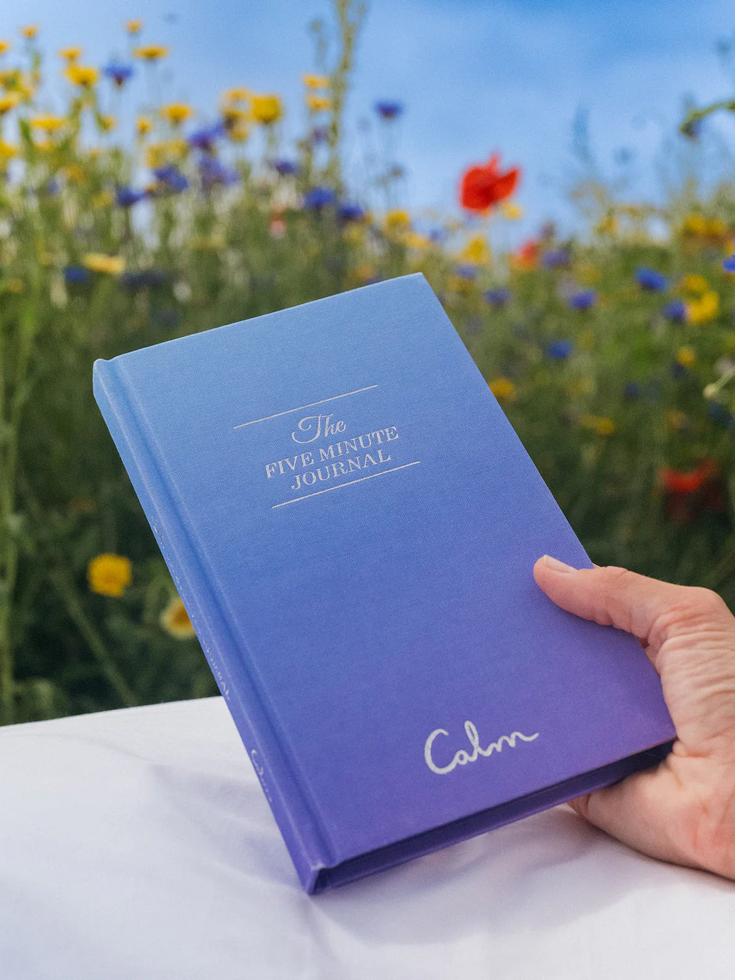 Intelligent Change The Five Minute Journal - Calm Edition