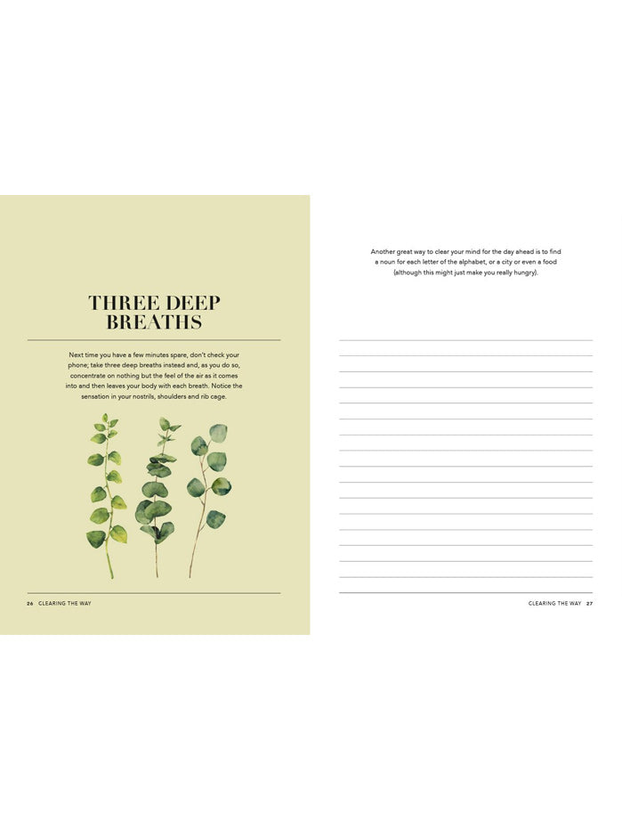 Five Minutes in the Morning