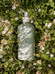 Bjork & Berries Hand & Body Wash - Never Spring