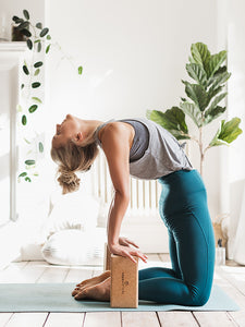 how to use sustainable cork yoga brick pair props pose