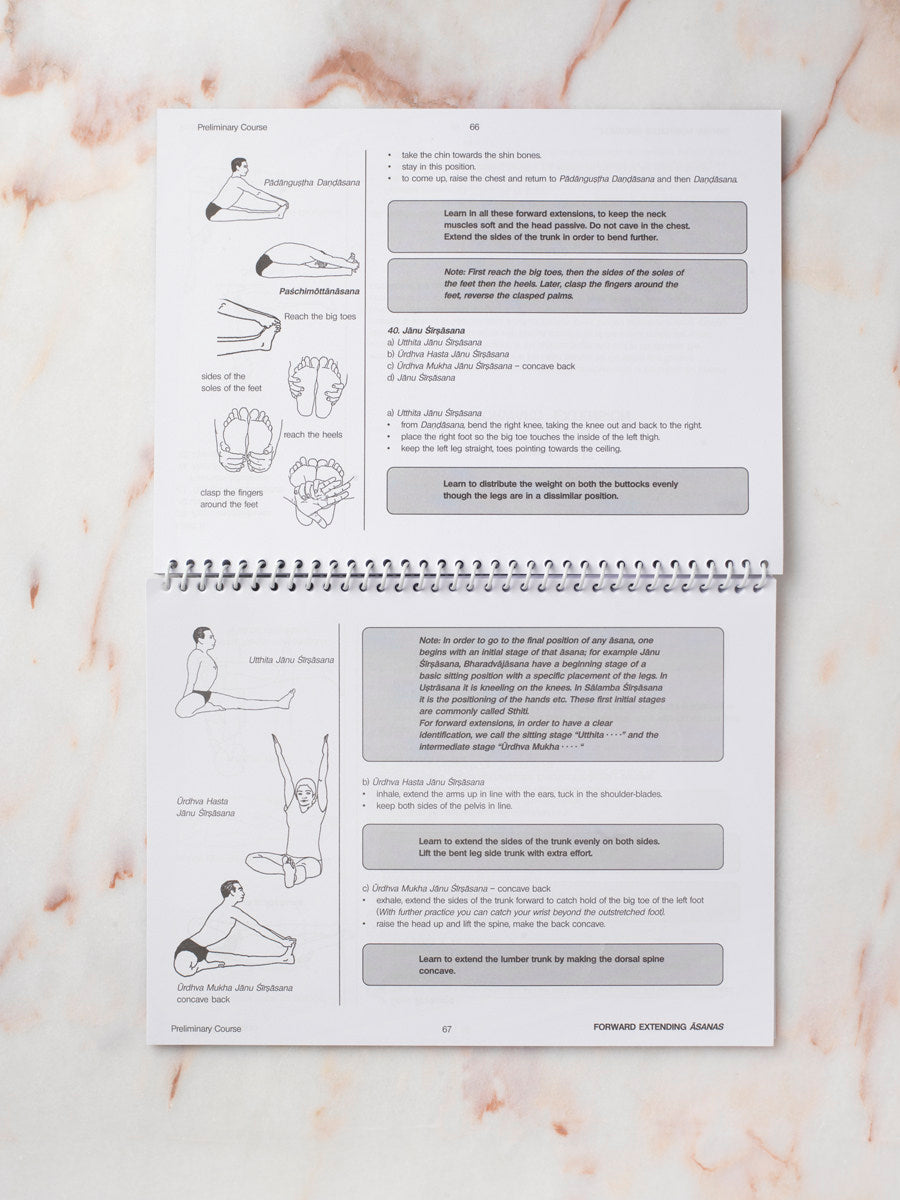 Yoga in Action: Preliminary Course